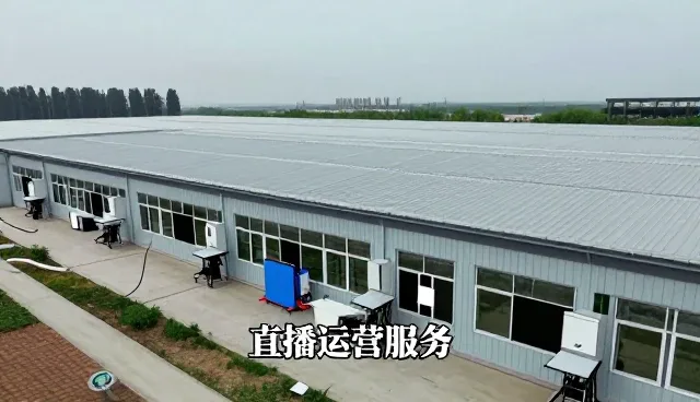 中国太子参信息网观察活动策划执行市场发展方向